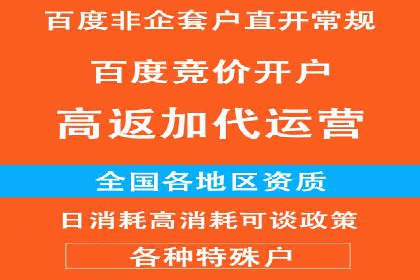 搜索引擎营销（SEM）的创意与执行——以多个行业成功案例为教学